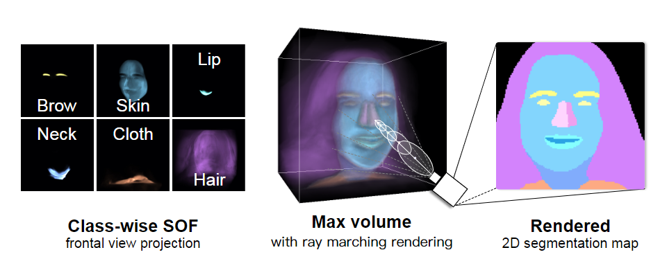 Fig. 5. SOF is a 3-dimensional volume, with a k-class semantic probability for each spatial point. The probability for each semantic class also forms a contiguous 3D volume (left). For each position, we take the semantic value with max probability and adopt a differentiable ray marching scheme (middle) to render it into 2D segmentation maps (right).